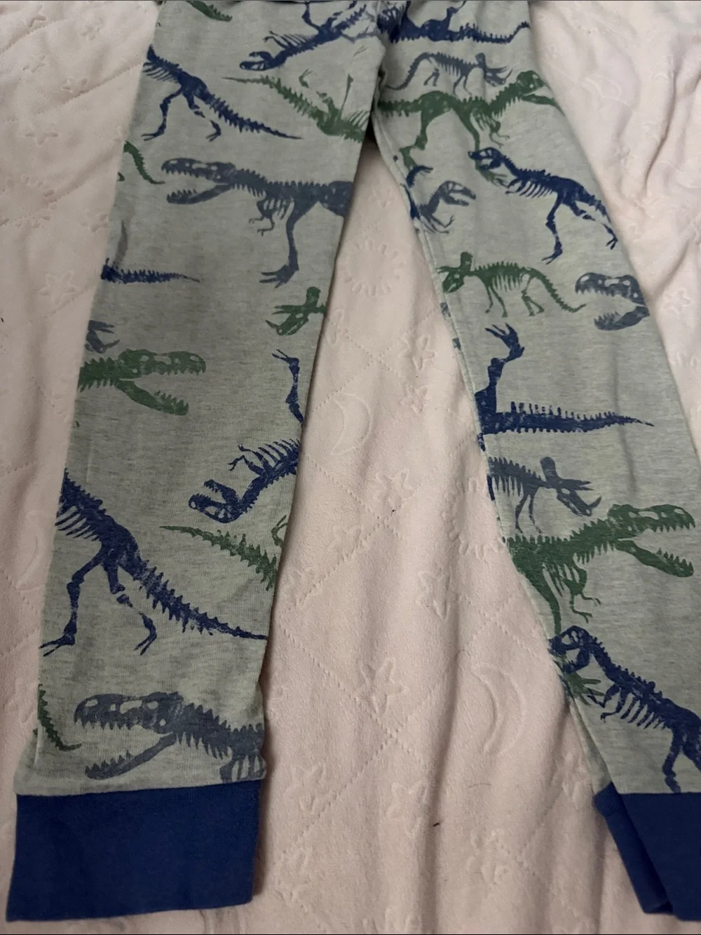 Kids Dinosaur Pajama Set in Heather Gray with Blue & Green Prints